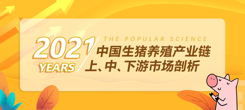 科普：2021年中国生猪养殖产业链上中下游市场剖析