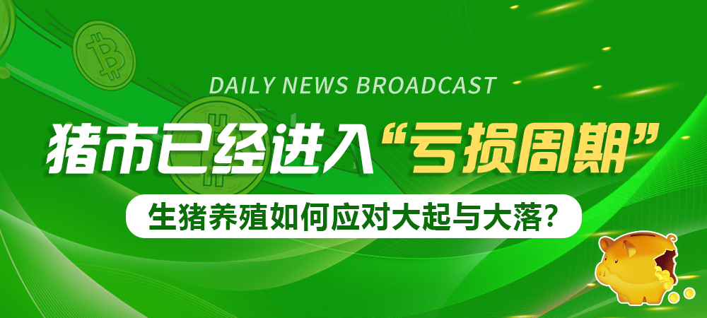 猪市已经进入“亏损周期” 生猪养殖如何应对大起与大落？