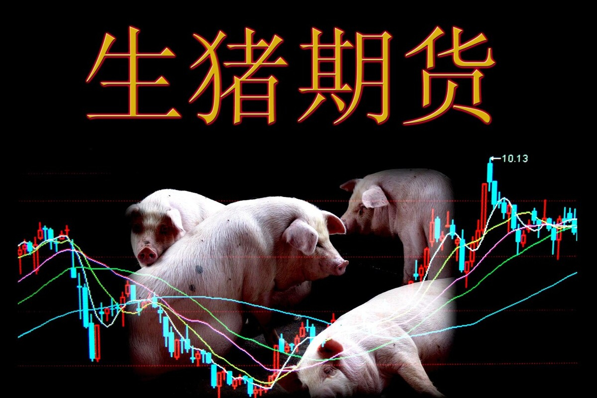 6月16日20公斤仔猪价格，仔猪行情愈演愈烈，饲料涨价还在路上？