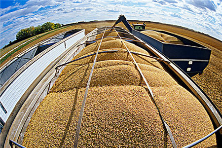天气炒作降温、进口大豆成本最高降350元/吨，但豆粕继续下跌空间或有限
