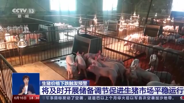 猪肉价格连降20周，相关个股下跌40%！机构：板块调整接近尾声，向上拐点临近