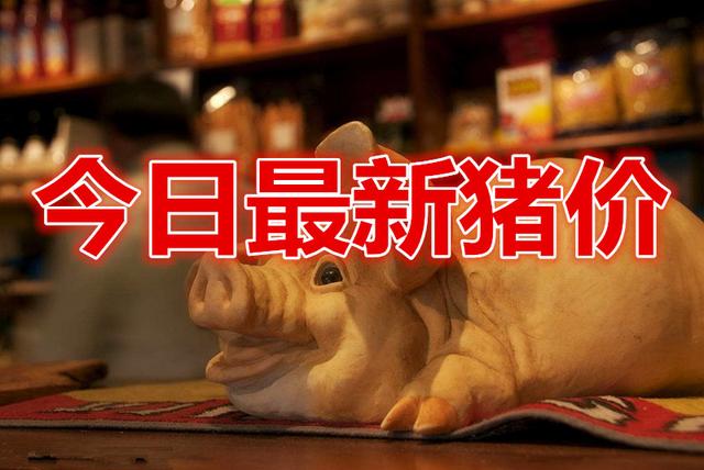2021年06月20日全国各省市土杂猪生猪价格，猪市呈现大部下跌，抛售现象再次加大！