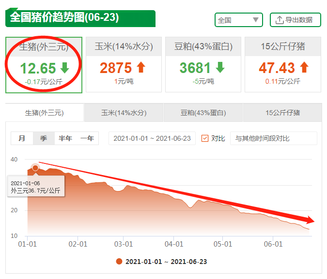 23日15公斤仔猪价格，仔猪连跌12周，低价仔猪该自养还是卖出去？