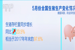 猪价奔5，官方发布预警公告，要收储？为何有专家不建议收储？