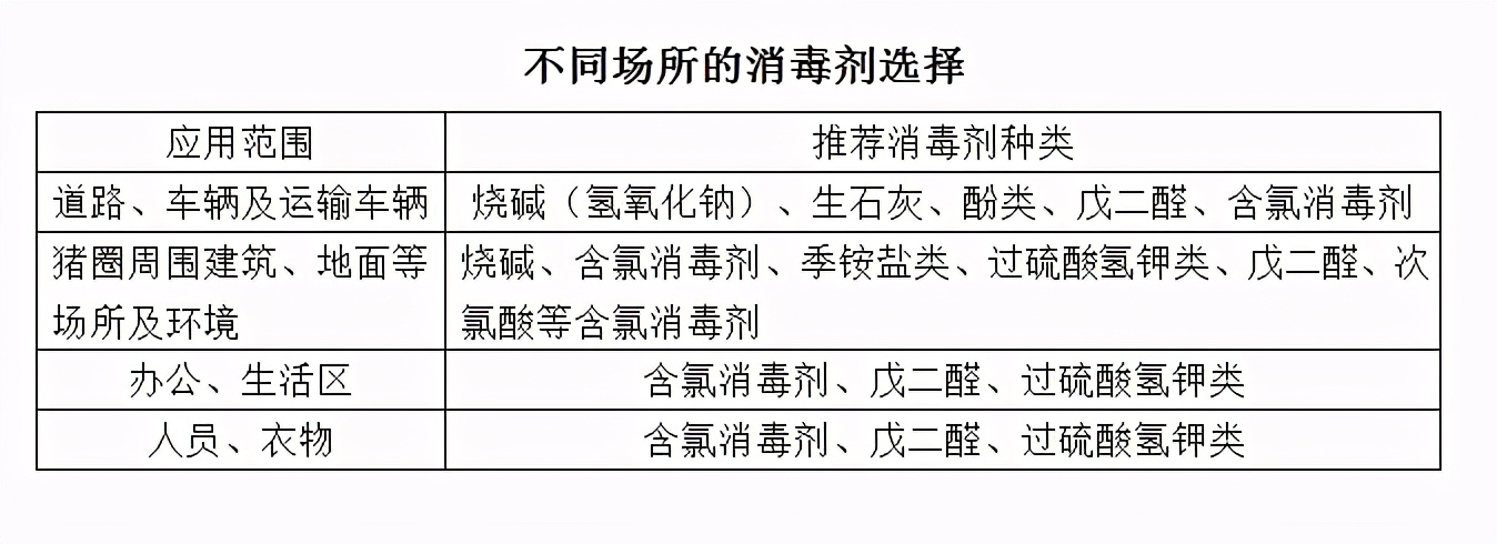 高温季节非洲猪瘟高发，如何防控？