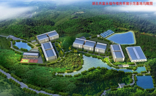 年出栏30万头楼房猪场开建！行业低迷，湖北共富牧业要做“最美逆行者”？