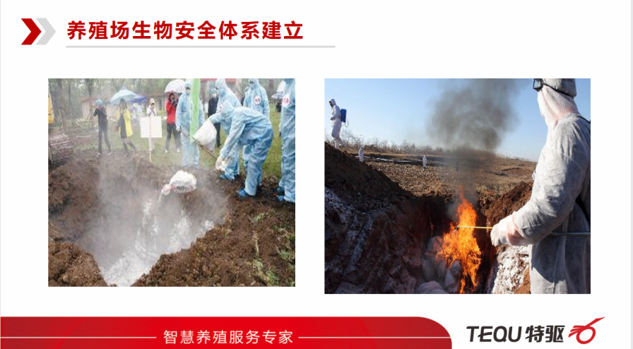 TOP养殖技术精英培训会 | 第17期：“养殖场生物安全管理”