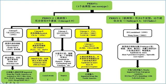 非典型PRRS病毒株：养猪业面临的新问题？