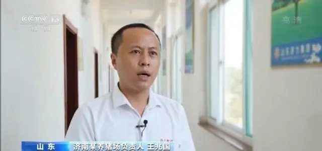 养殖效益“大缩水”！前5月淘汰种母猪345万头，同比增长108%
