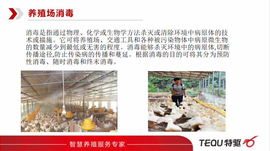 TOP养殖技术精英培训会 | 第17期：“养殖场生物安全管理”