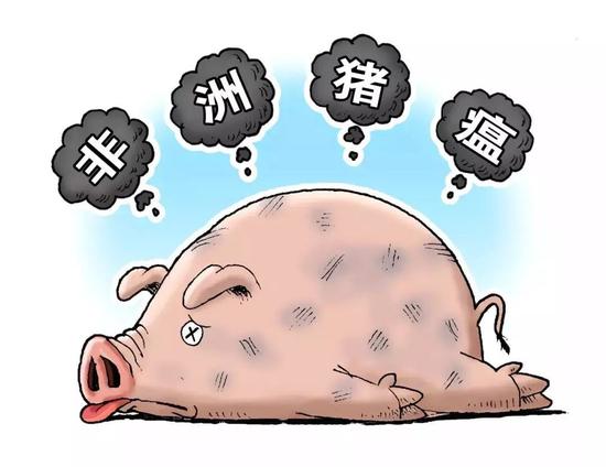41家大猪场报名！广东全面推进无非洲猪瘟小区建设工作