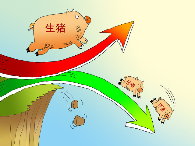 面临猪价五连涨，全面破8元，新一轮涨价潮或将来袭，消费者要准备好啦