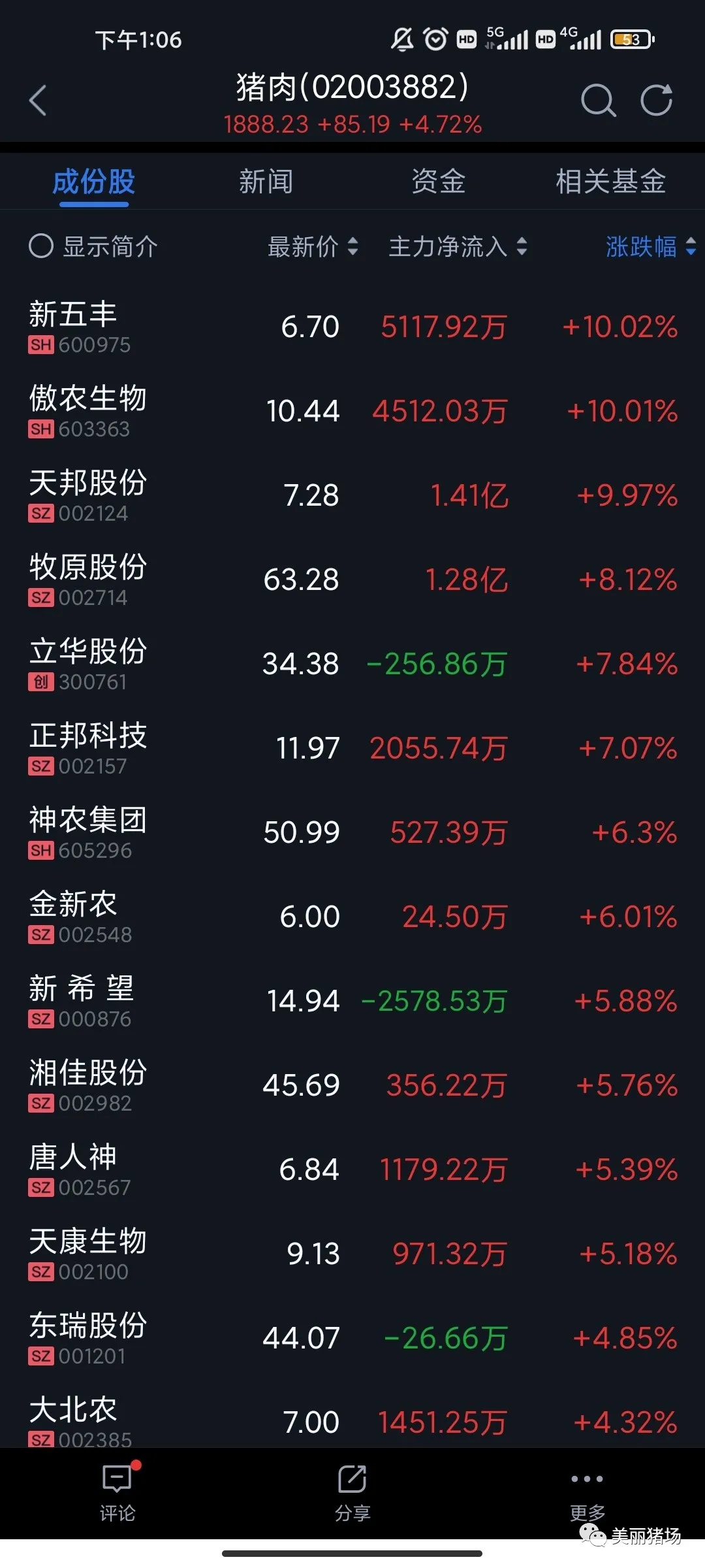 猪肉股