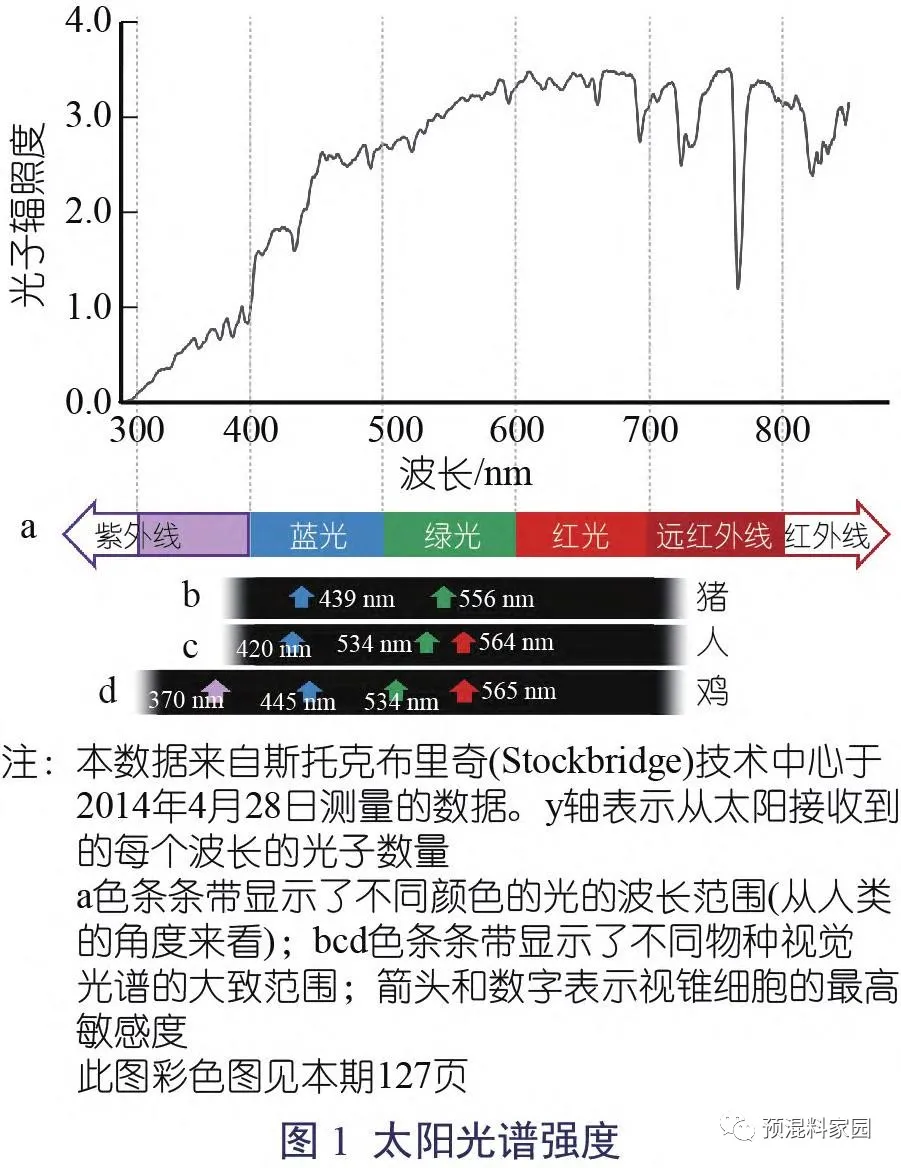 太阳光谱强度