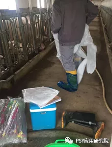 猪场建设