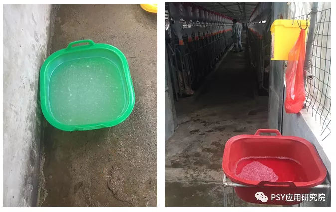 消毒桶