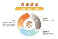 天兆托养丨从包工头到养猪，一边养一边学