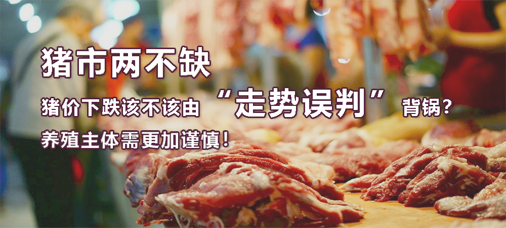 猪市两不缺，猪价下跌该不该由“走势误判”背锅？养殖主体需更加谨慎！