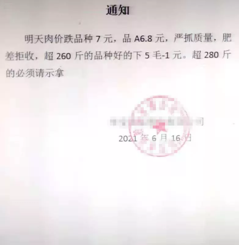 猪价大起大落我们怎么做才能赚钱？