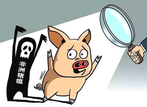 非洲猪瘟消杀评测，为猪场科学选择消毒剂提供依据