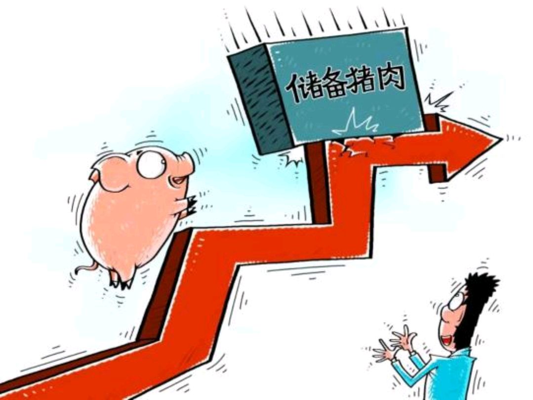 猪价回升，深度分析热钱和资本两次对“猪周期”的阻击