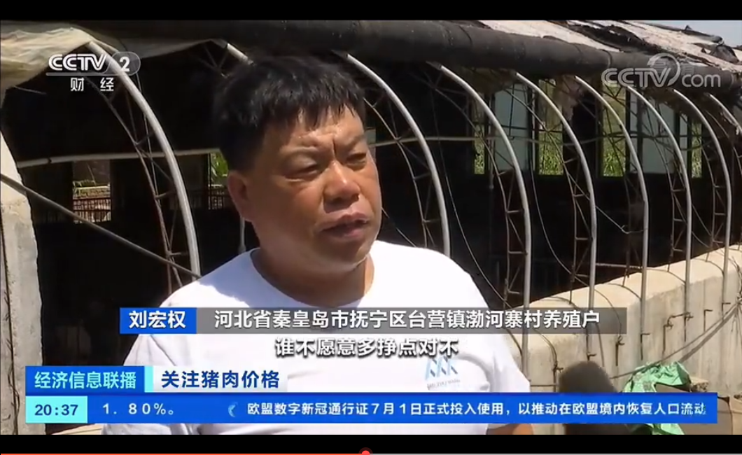 猪肉价格