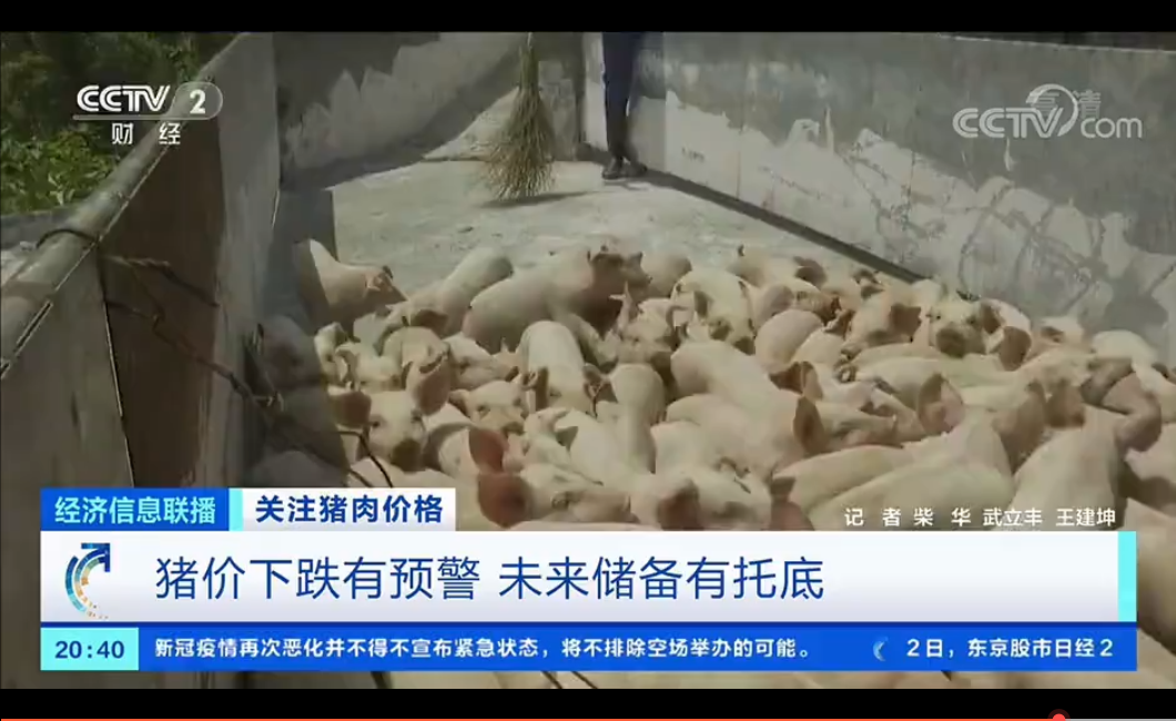 关注猪肉价格！大体重猪集中出栏，猪价波动加剧