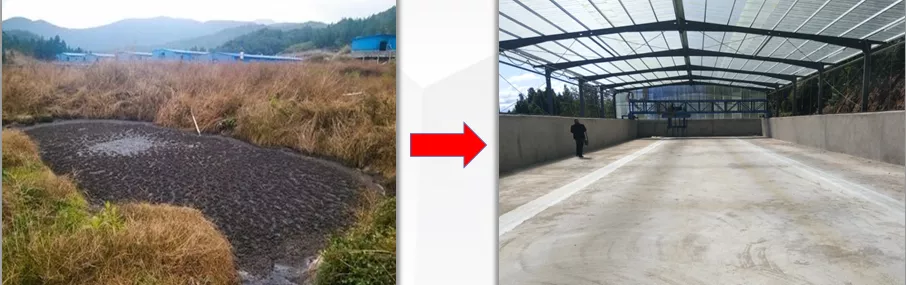 提升效率，养猪更轻松！就选双胞胎高效栏舍，养好猪、多赚钱