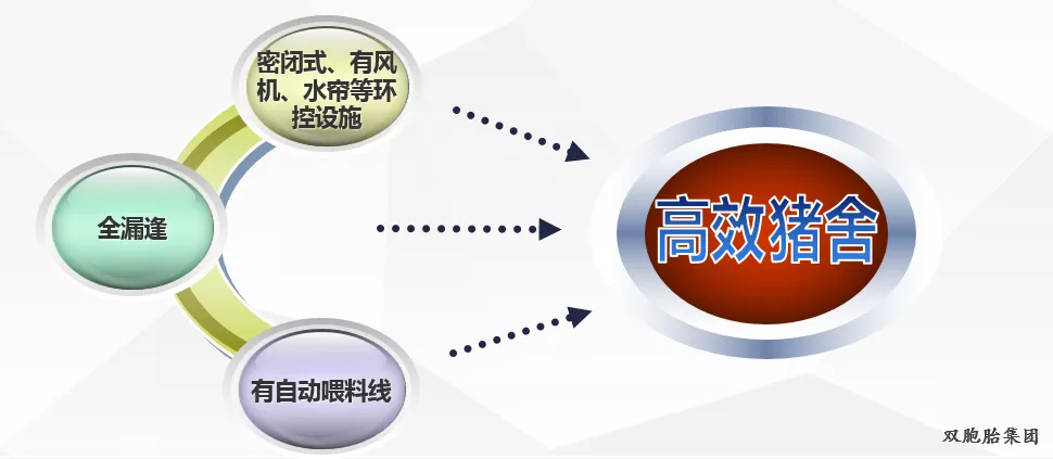 提升效率，养猪更轻松！就选双胞胎高效栏舍，养好猪、多赚钱
