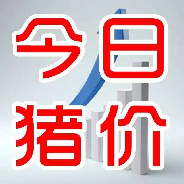 2021年07月06日全国各省市外三元生猪价格，今日全国猪价全线飘绿，西南地区跌幅超5毛，7月会持续弱势？