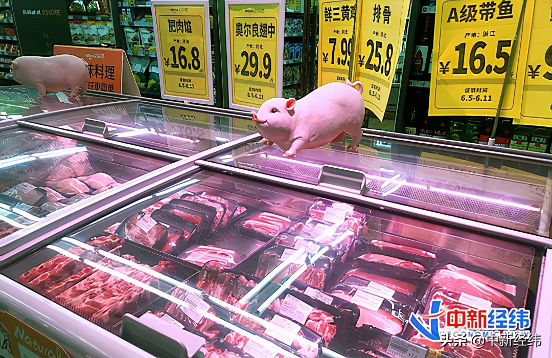 猪价跌了养猪大户们坐不住了：降成本拓产业，开展生猪期货套保