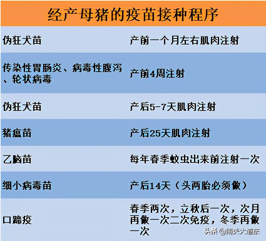 养猪要打哪些疫苗？最实用的免疫程序表来了