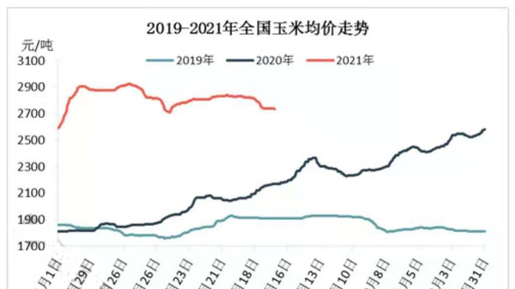 上半年玉米價格先揚後抑下半年能否重現輝煌