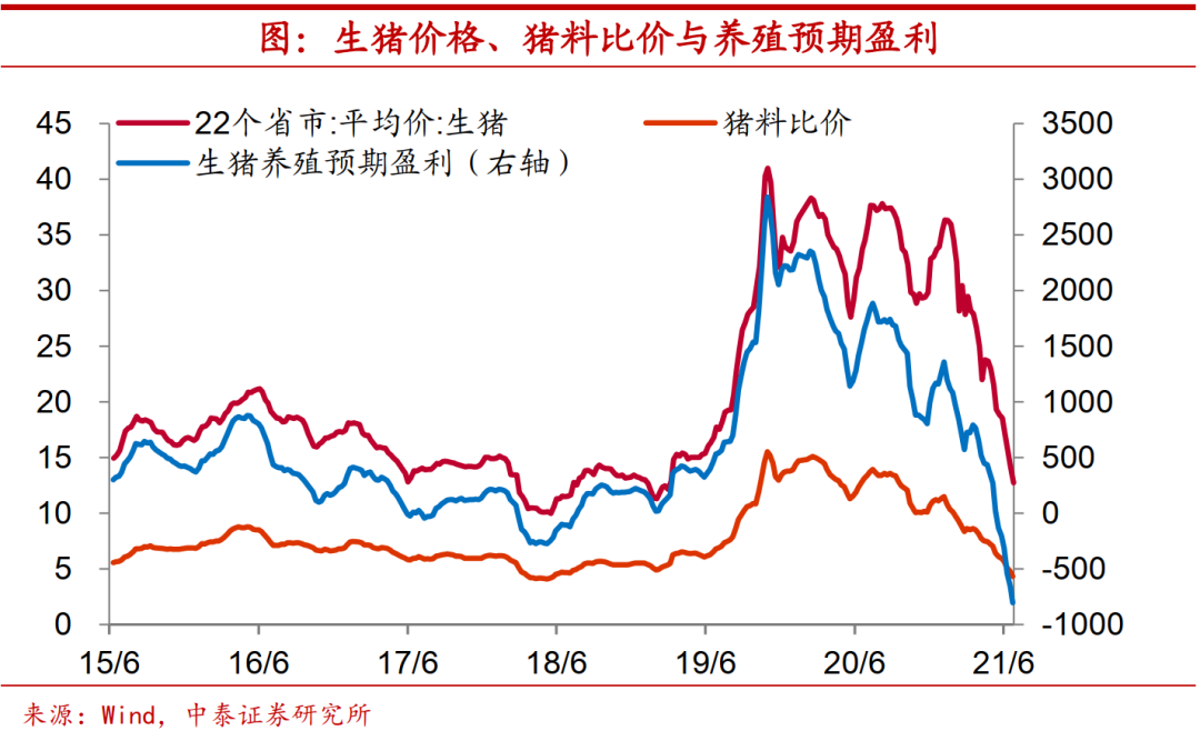 预期盈利
