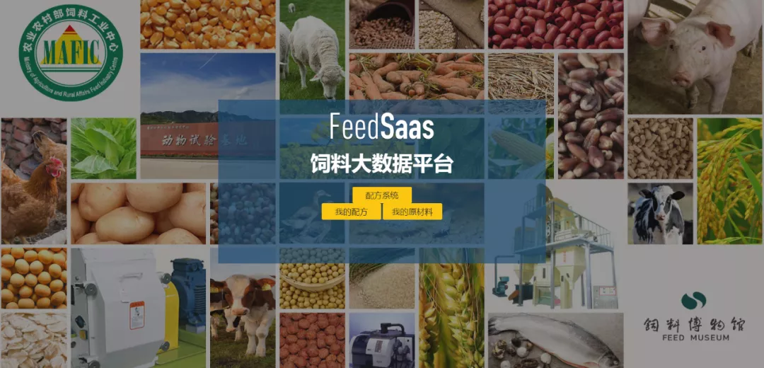 李德发院士：中国猪业未来10年需围绕4个主要经济指标寻求技术突破