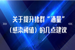 如何提升猪群“酒量”（感染阈值），给你几点建议