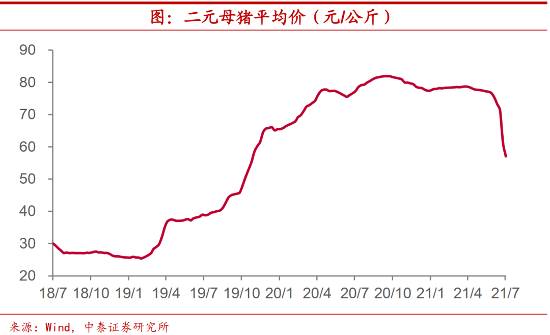 二元母猪均价