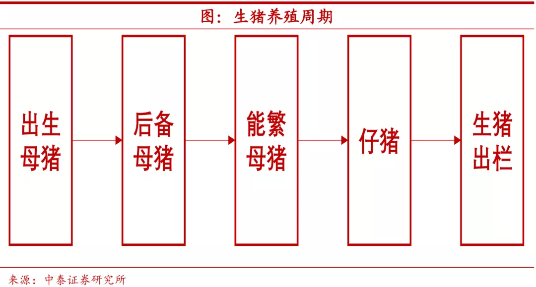 养殖周期