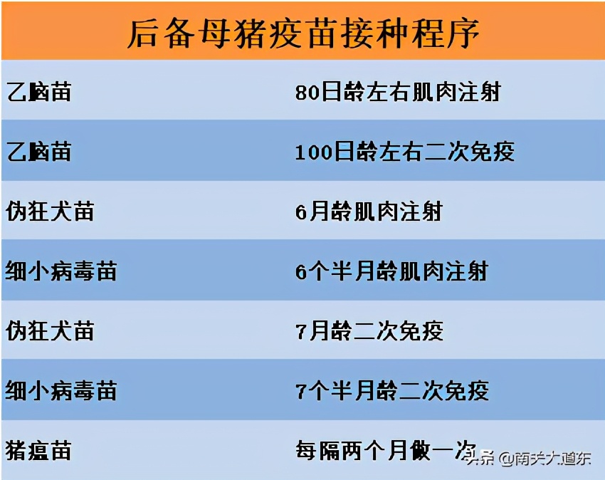 养猪要打哪些疫苗？最实用的免疫程序表来了
