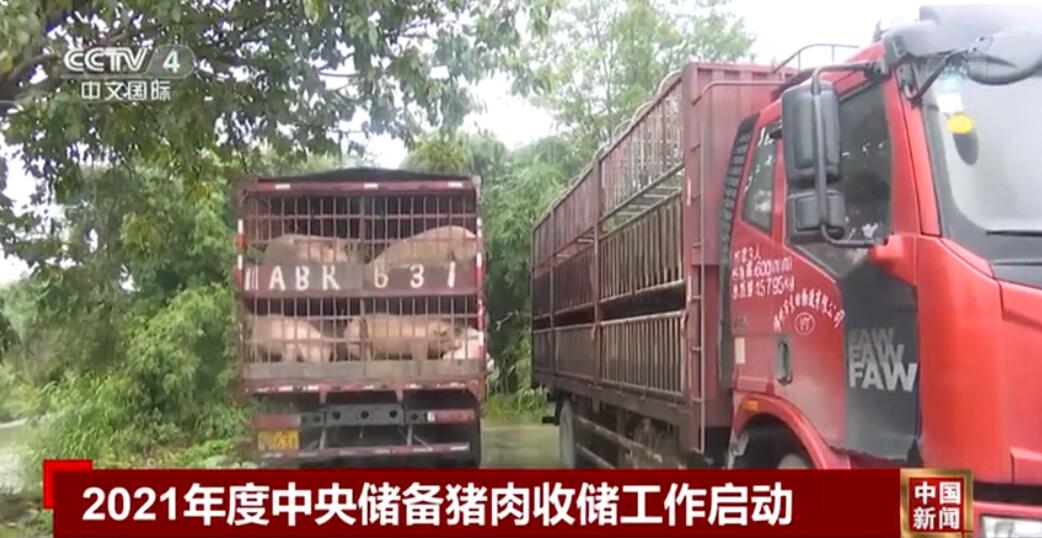 7月7日， 2021年度中央储备猪肉收储工作启动