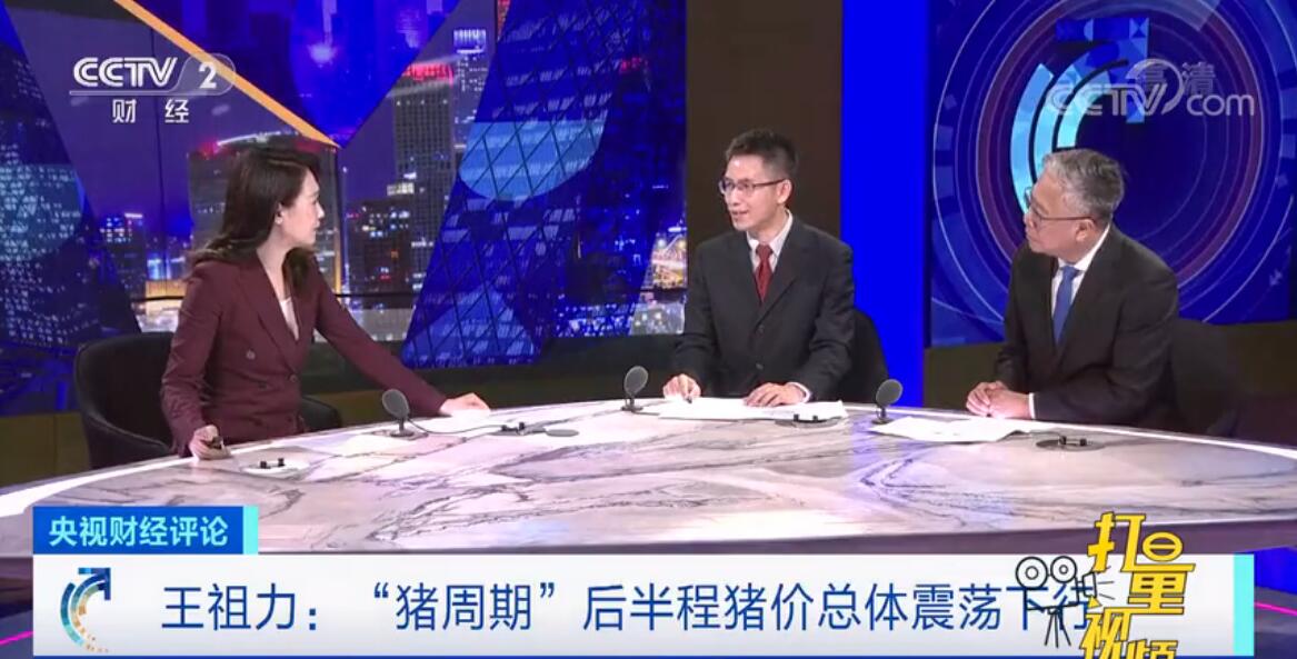  猪价持续下跌，养殖户们该怎么来应对？王祖力：“猪周期”后半程猪价总体震荡下行