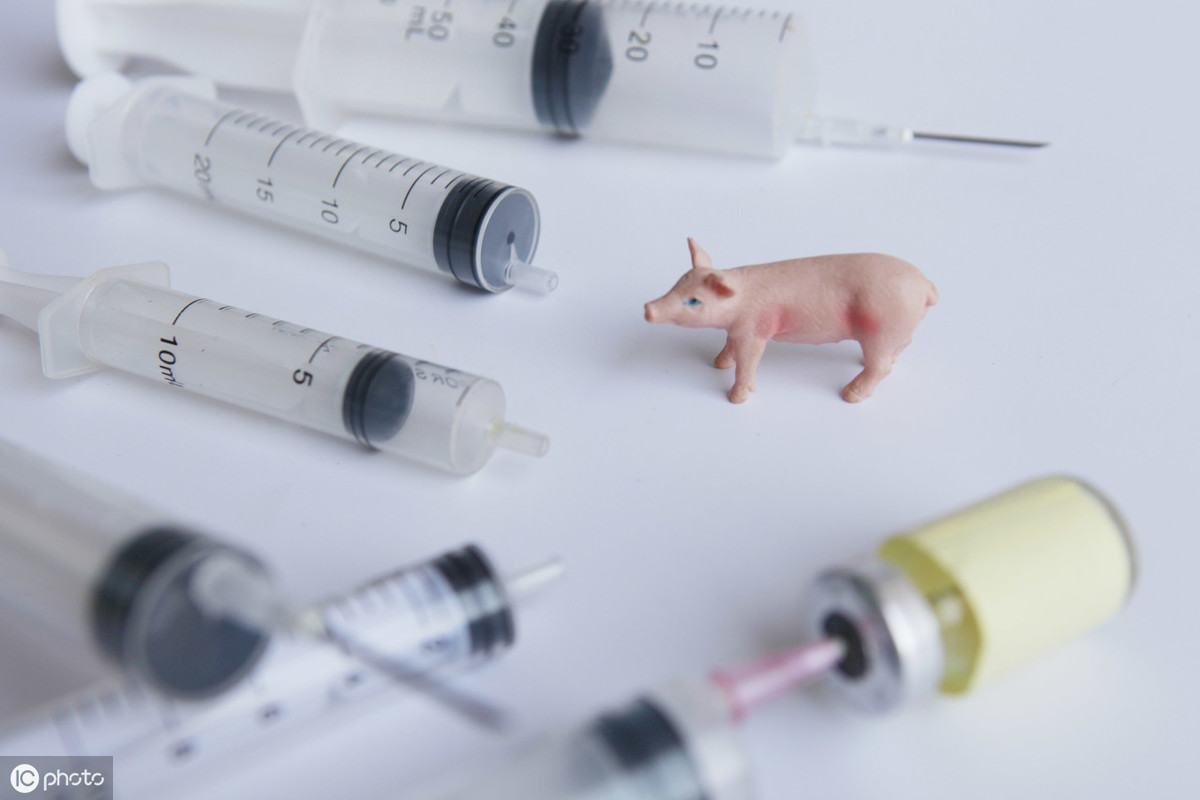 喜讯！哈兽维科研发的“非洲猪瘟病毒ELISA抗体检测试剂盒”通过评审，推动了对非瘟的防控技术！