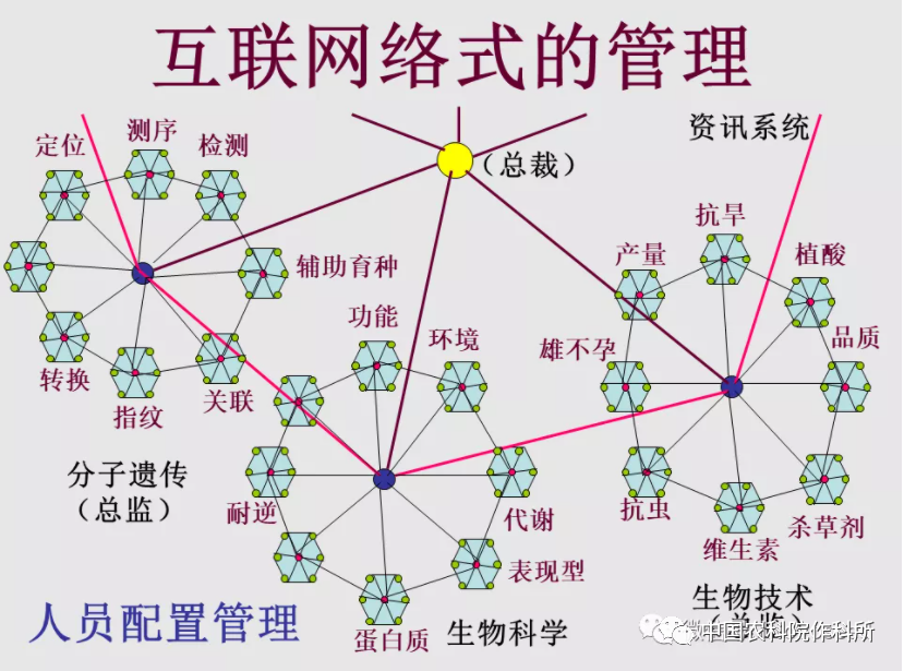 玉米种业的昨天、今天和明天