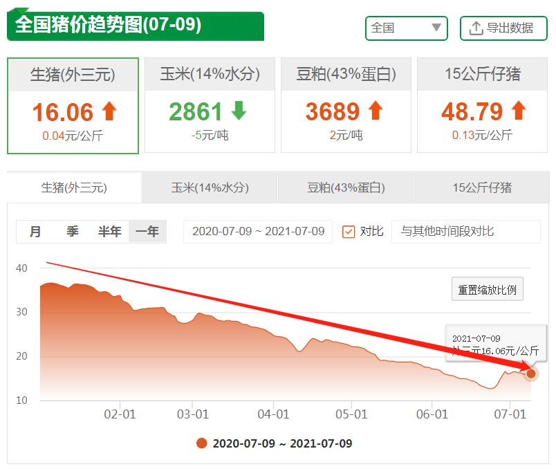 7月9日15公斤仔猪价格，一头仔猪最低200，养户可以趁机补栏了？