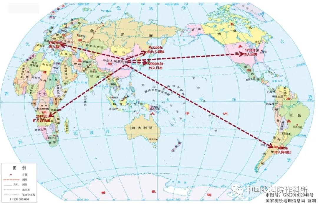 大豆种业的昨天、今天和明天