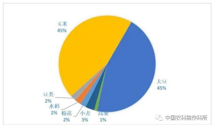 大豆种业的昨天、今天和明天