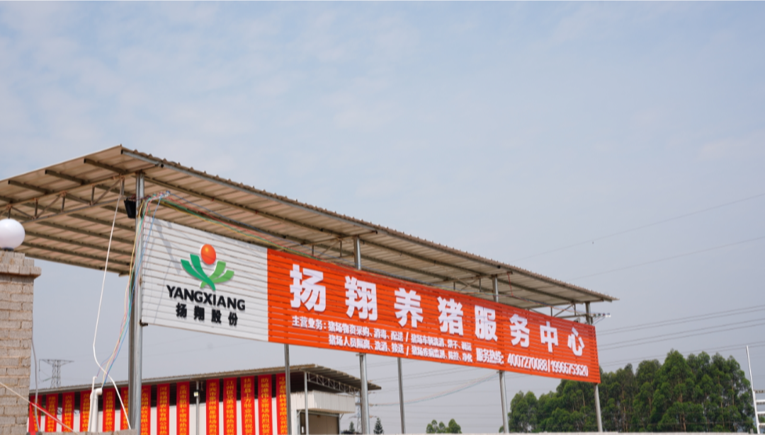 借力打力不费力！中小猪场生存与发展建议