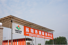 借力打力不费力！中小猪场生存与发展建议
