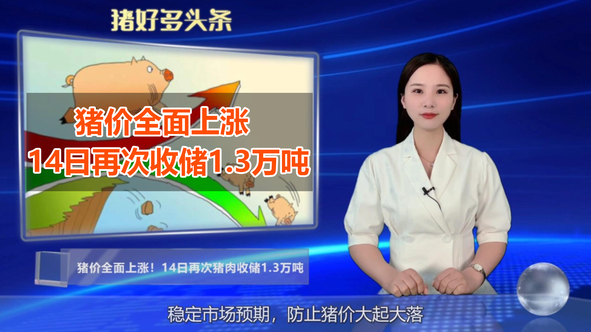 又宣布收储了？14日再次收储1.3万吨，猪价调控效果开始显现....