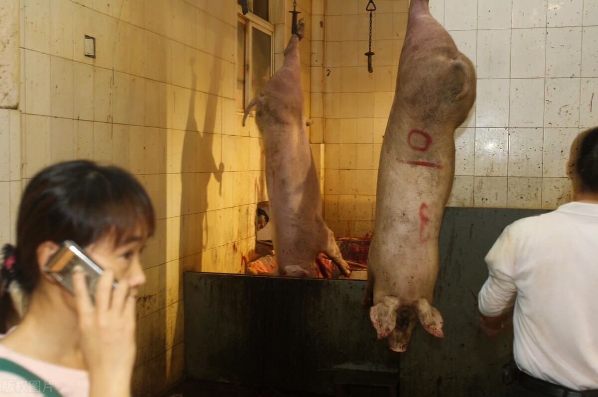 生猪价格涨势减缓，屠企压价表现突出，7月猪价会不会大跌？
